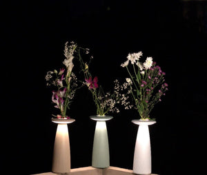 Flora