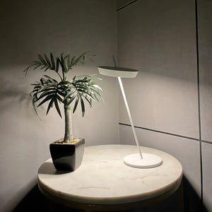 Torus Desk