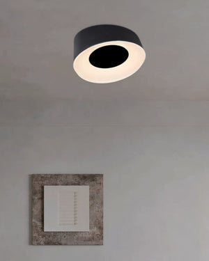 Ceiling Lights