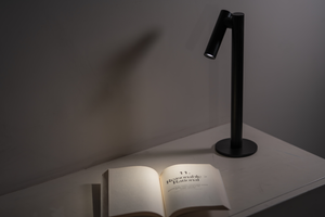 Zoom Desk